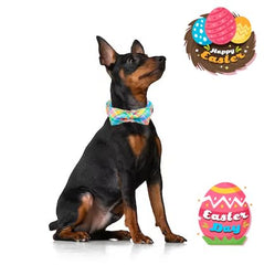 Unique Style Paws Easter chicken motif collar detail for cute outfits