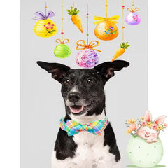 Unique Style Paws removable bow and flower tie on Easter collar