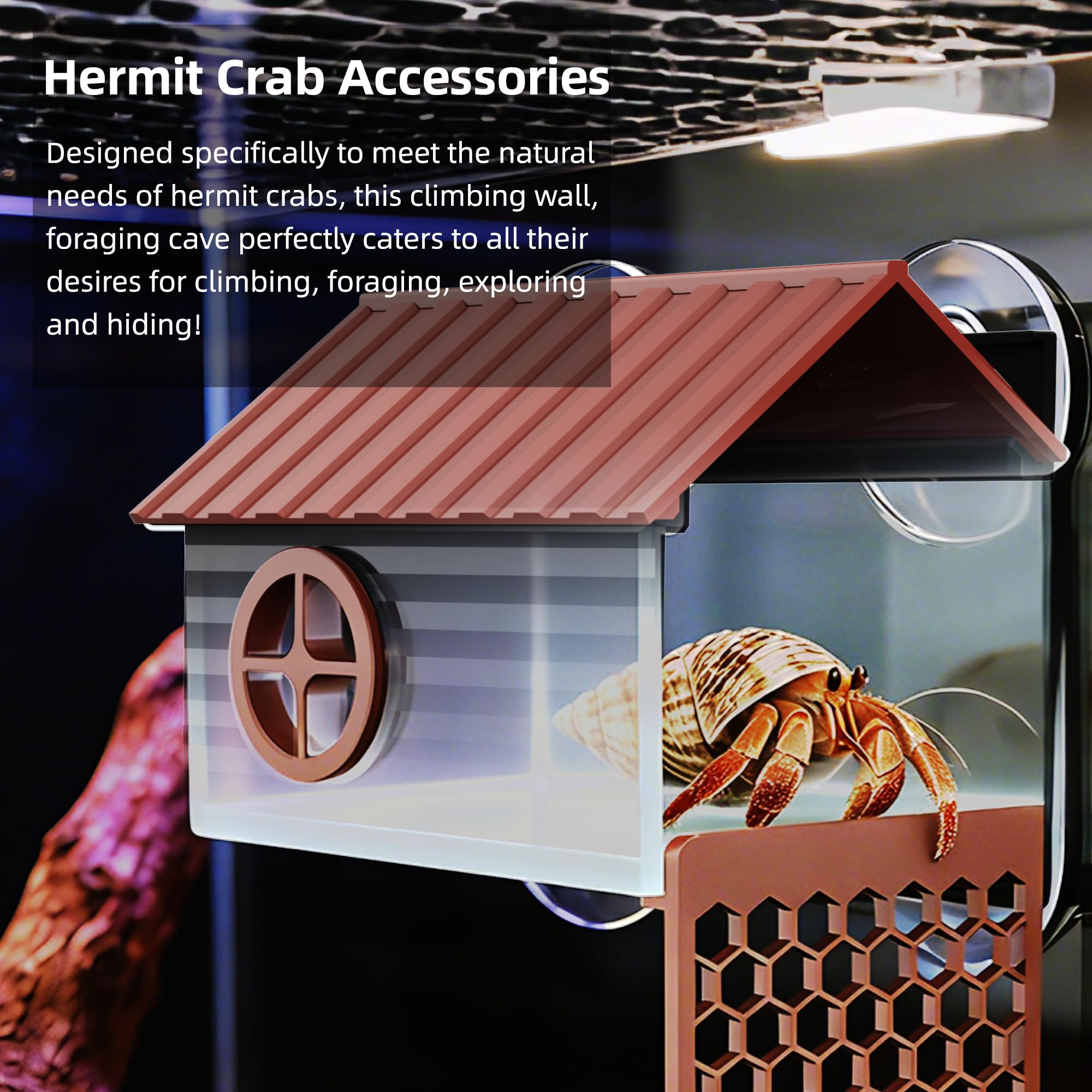 UNISOLODECHO hermit crab wall installation suction cups ensure tool free mounting