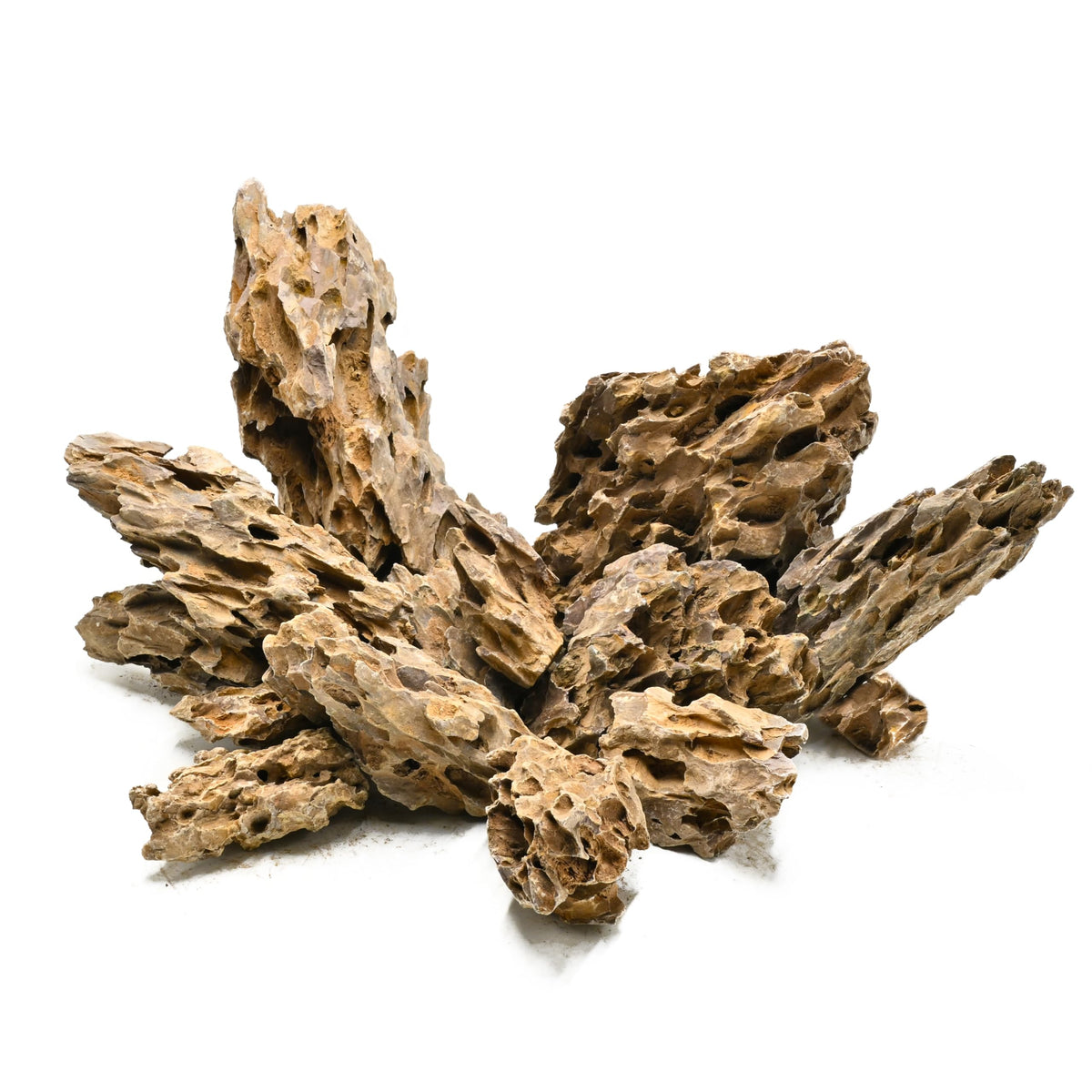 Unocho Dragon Stone Rocks with honeycomb texture for a natural, decorative aquarium landscape.