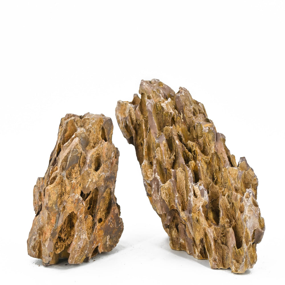 Unocho Dragon Stone textured rock closeup for realistic layered scenery