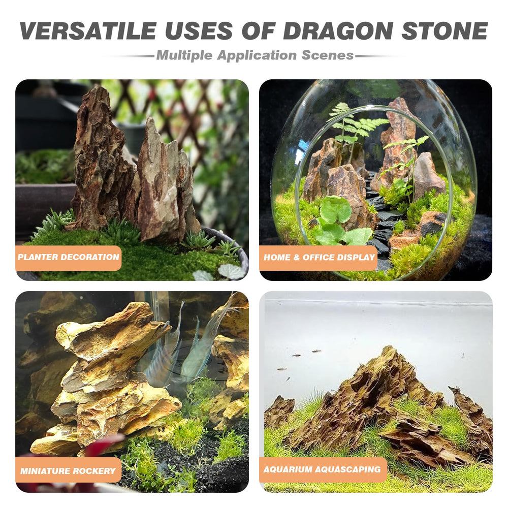 Unocho Dragon Stone visual depth aquascape for dramatic underwater landscapes