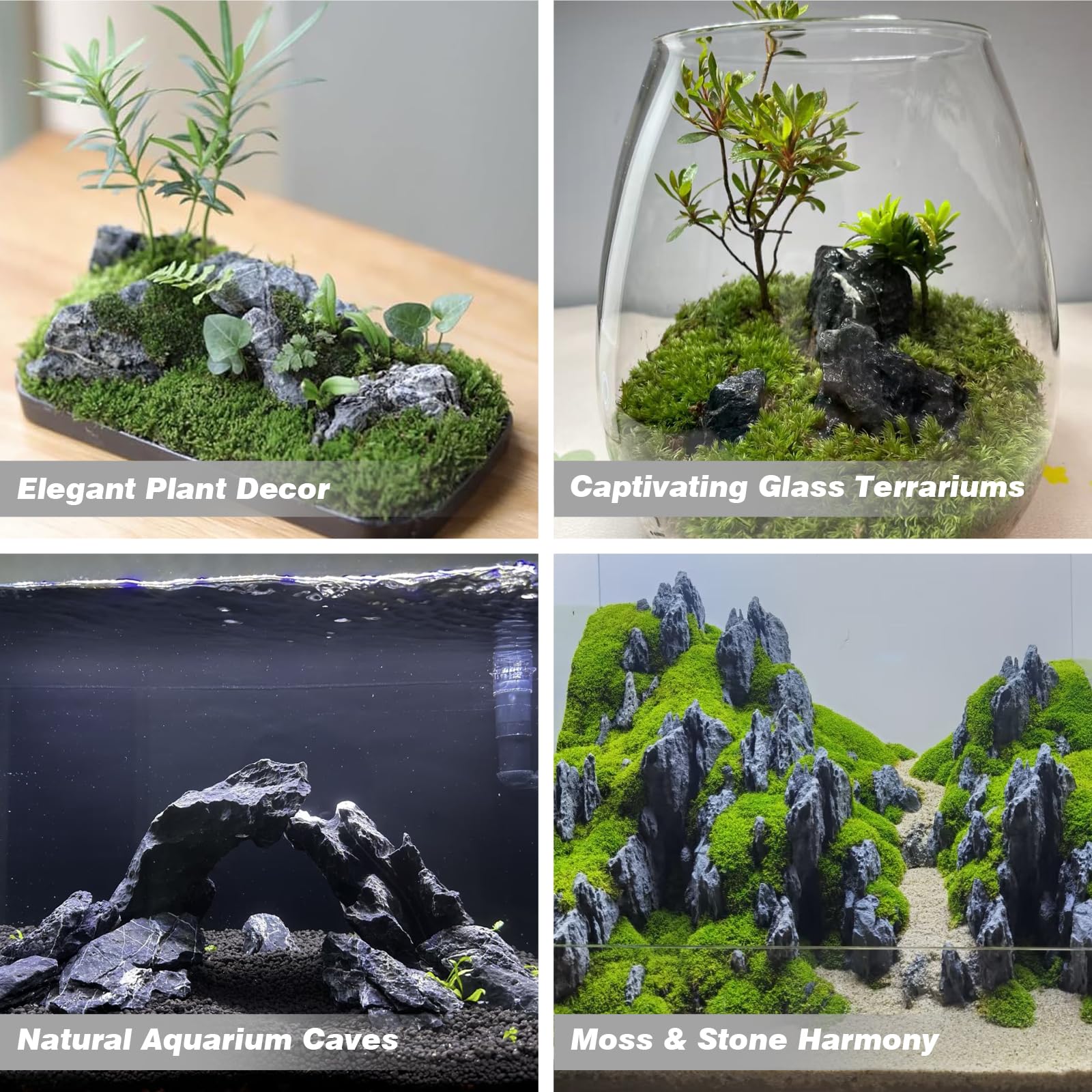 Unocho Seiryu rock with plant adhesion ready for lush greenery in tanks