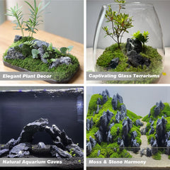 Unocho Seiryu rock with plant adhesion ready for lush greenery in tanks