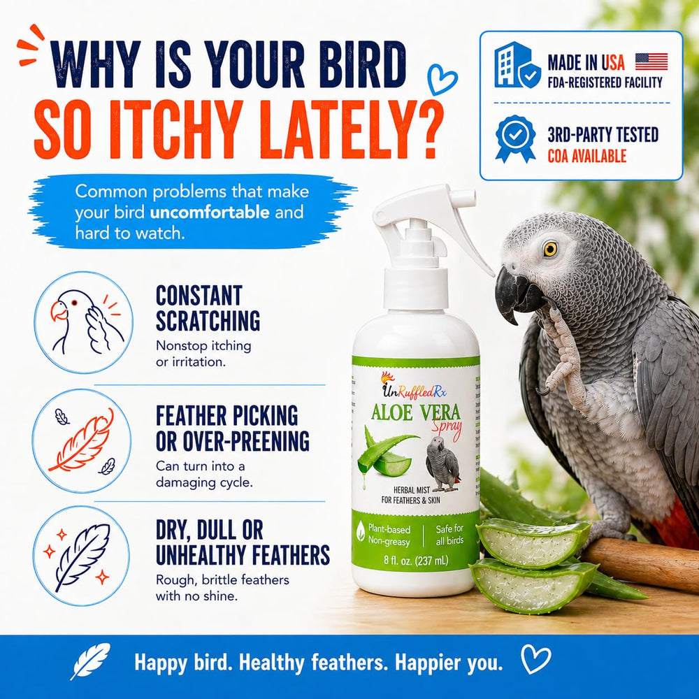 UnRuffledRx Aloe Vera Bird Spray after use with smoother feathers.