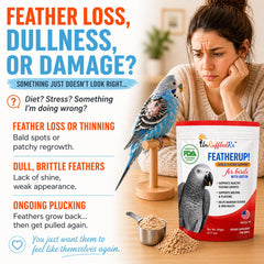 UnRuffledRx FeatherUp powder-dispense close-up showing premium nutrition for feather growth.