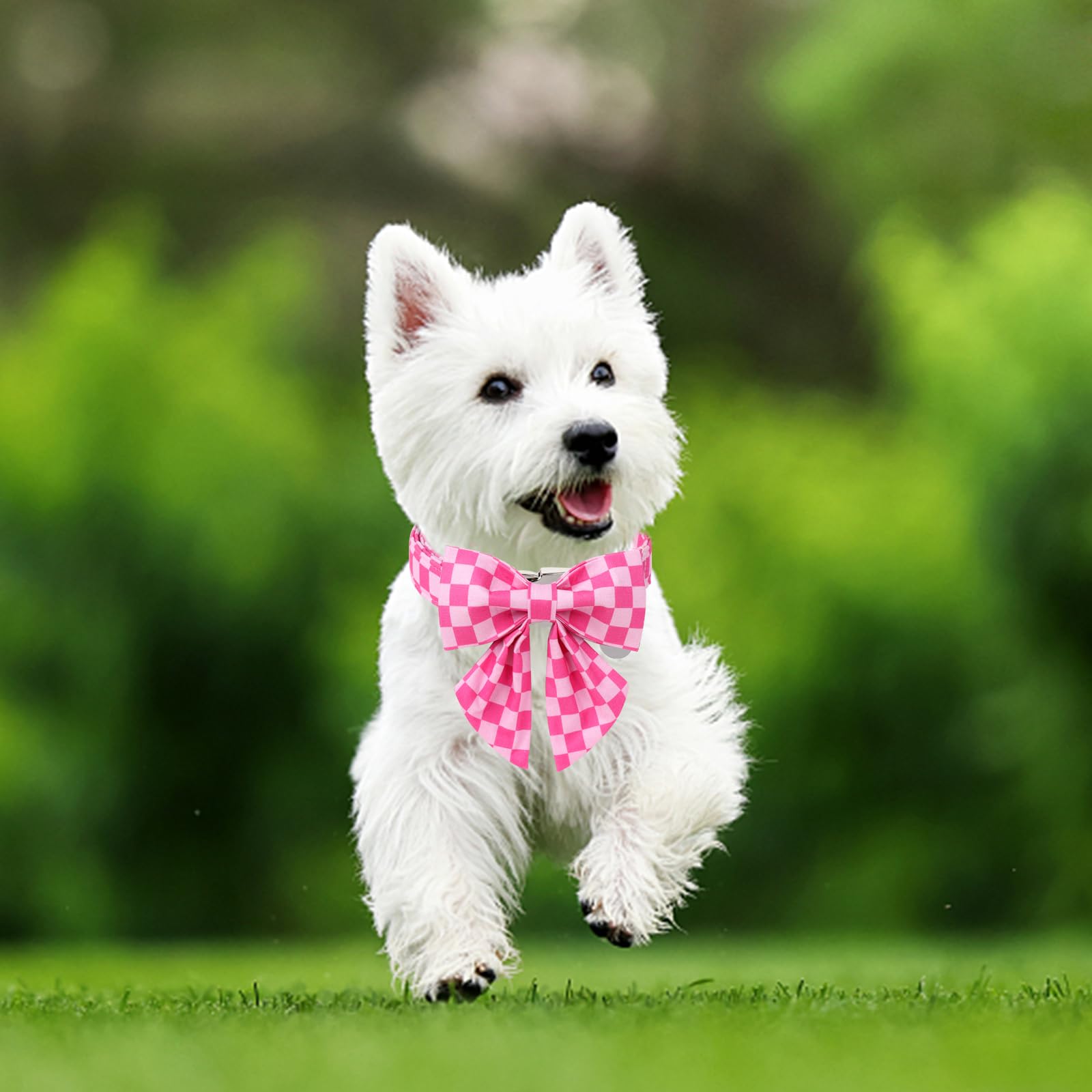 UP URARA PUP adjustable neck size from 10 to 16 inches for versatility.