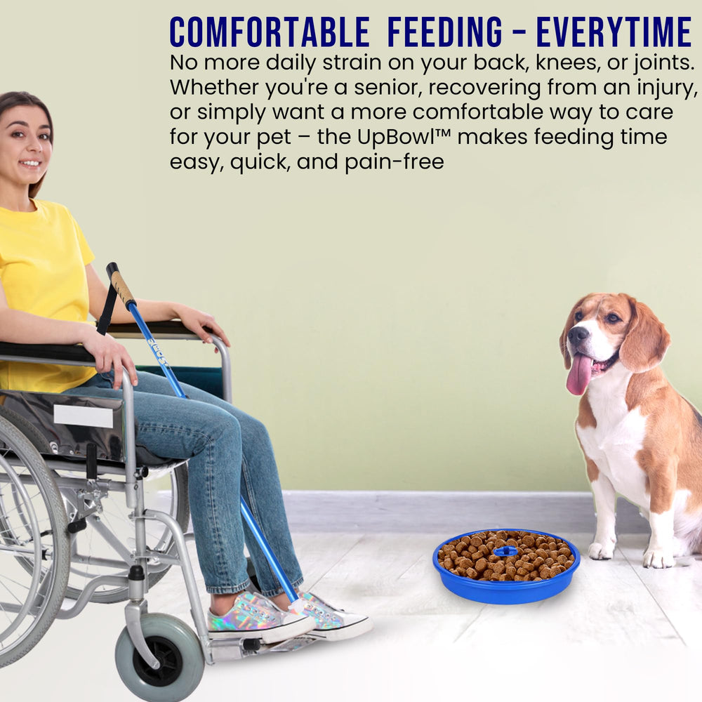 UpBowl bowls hold up to four cups for dry food or water