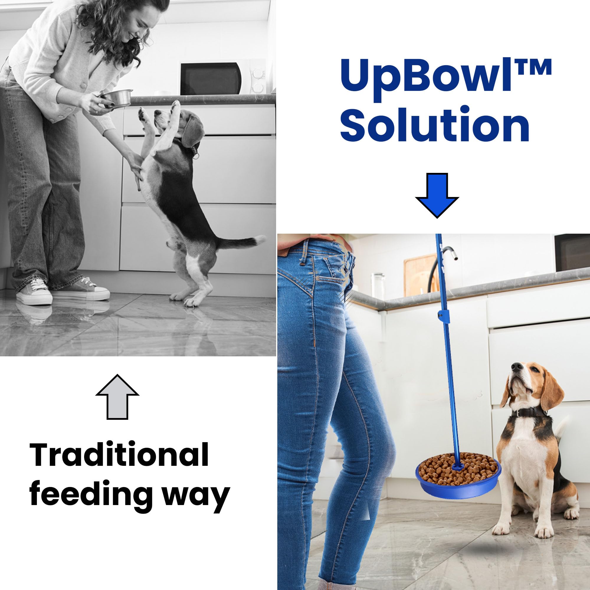 UpBowl pole extended to 36 inches for comfortable feeding height