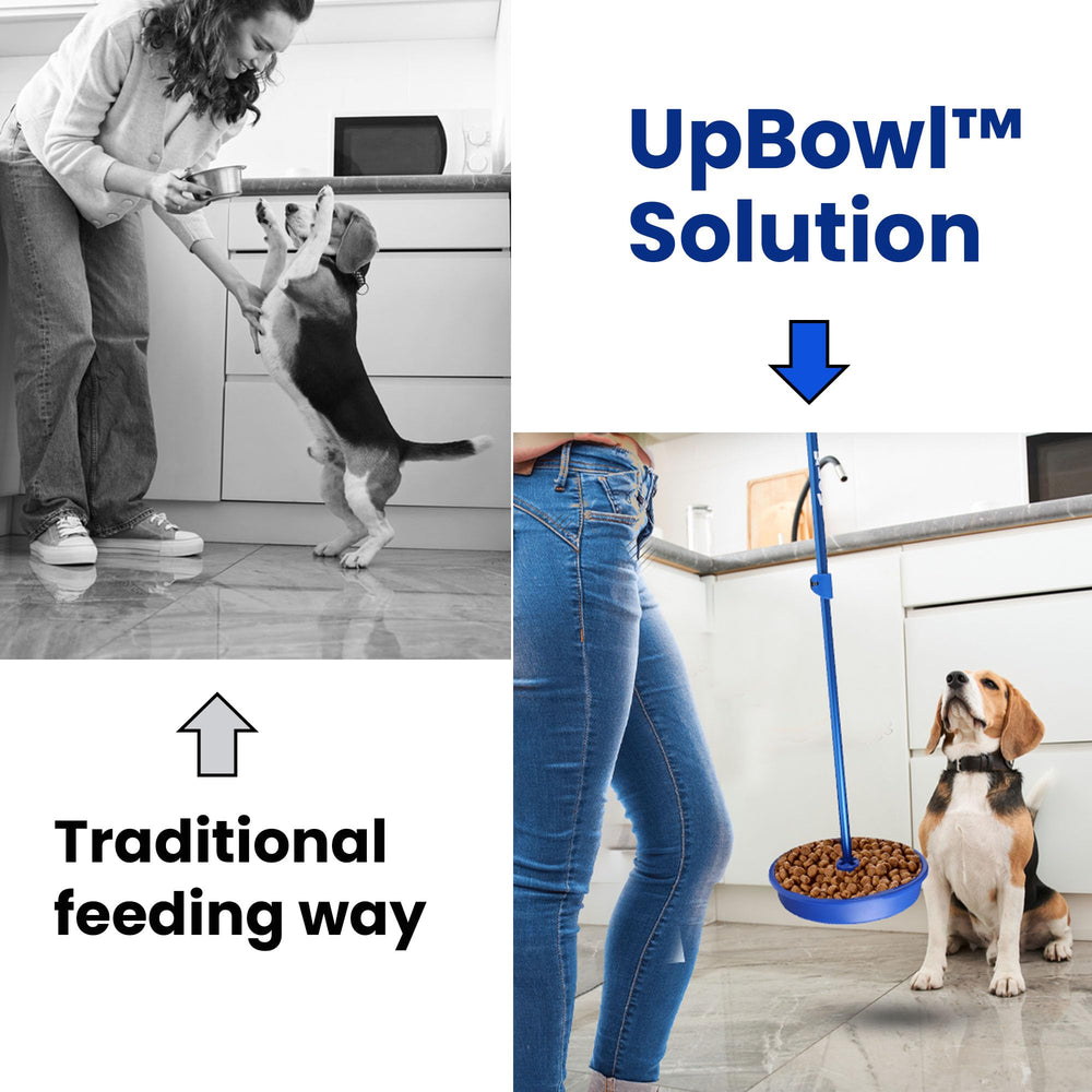 UpBowl pole extended to 36 inches for comfortable feeding height