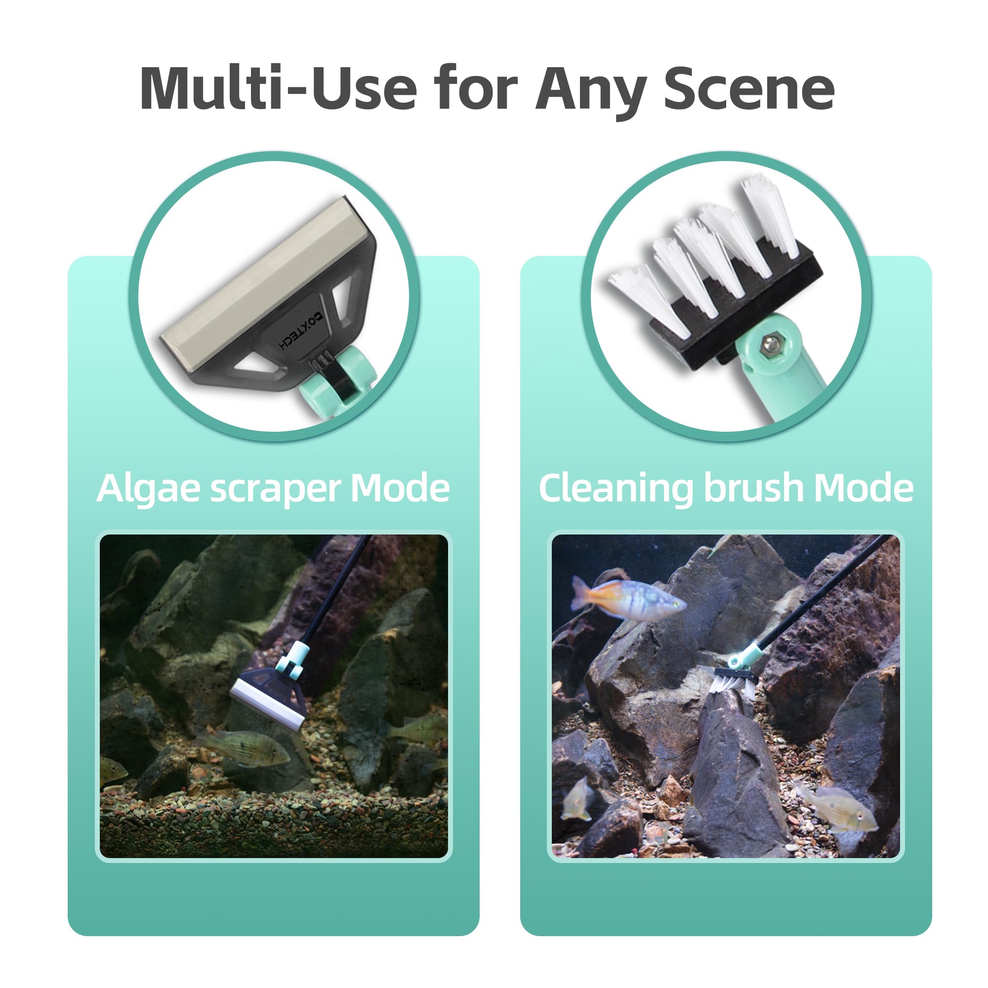 UPETTOOLS algae scraper blades provide versatile algae removal.