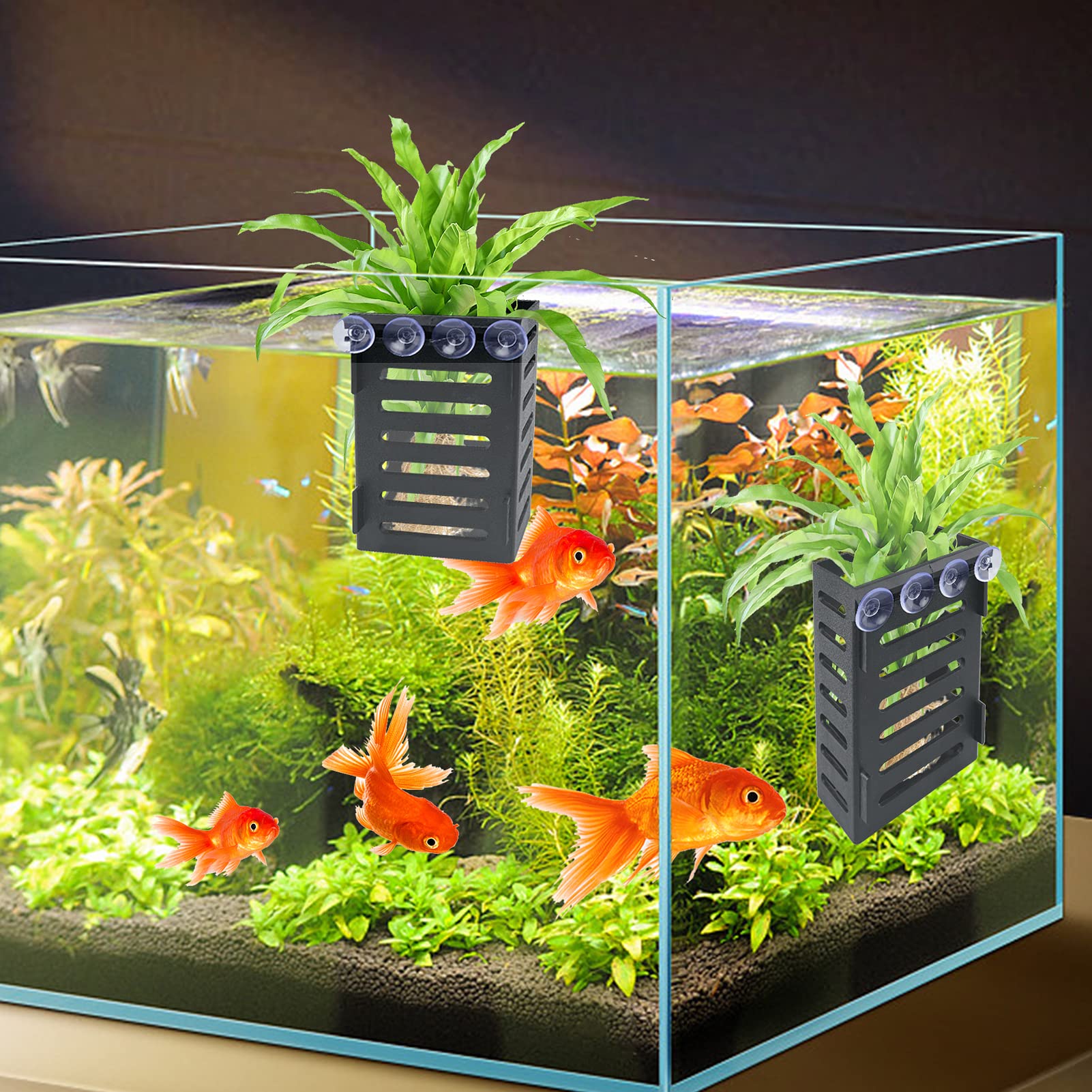 Holes design promotes water flow around roots for balanced tank conditions.