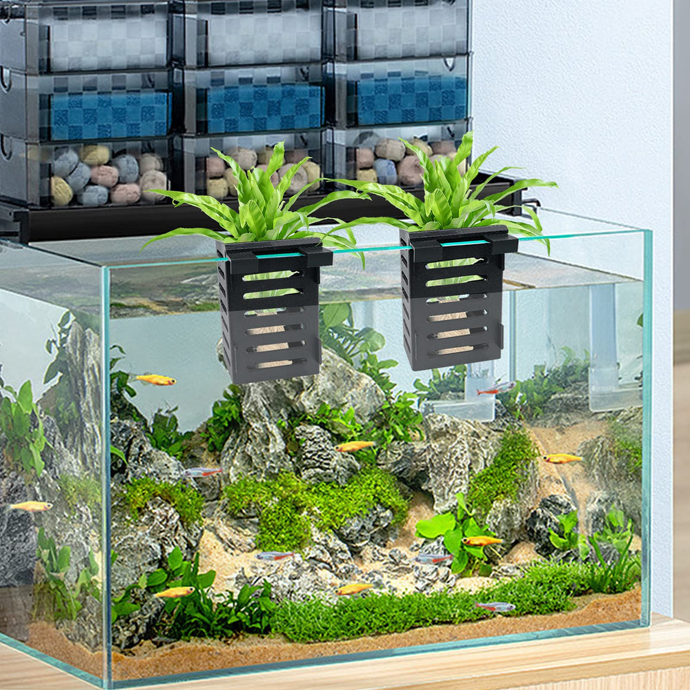Plant holders in use along tank edge with varied plants.