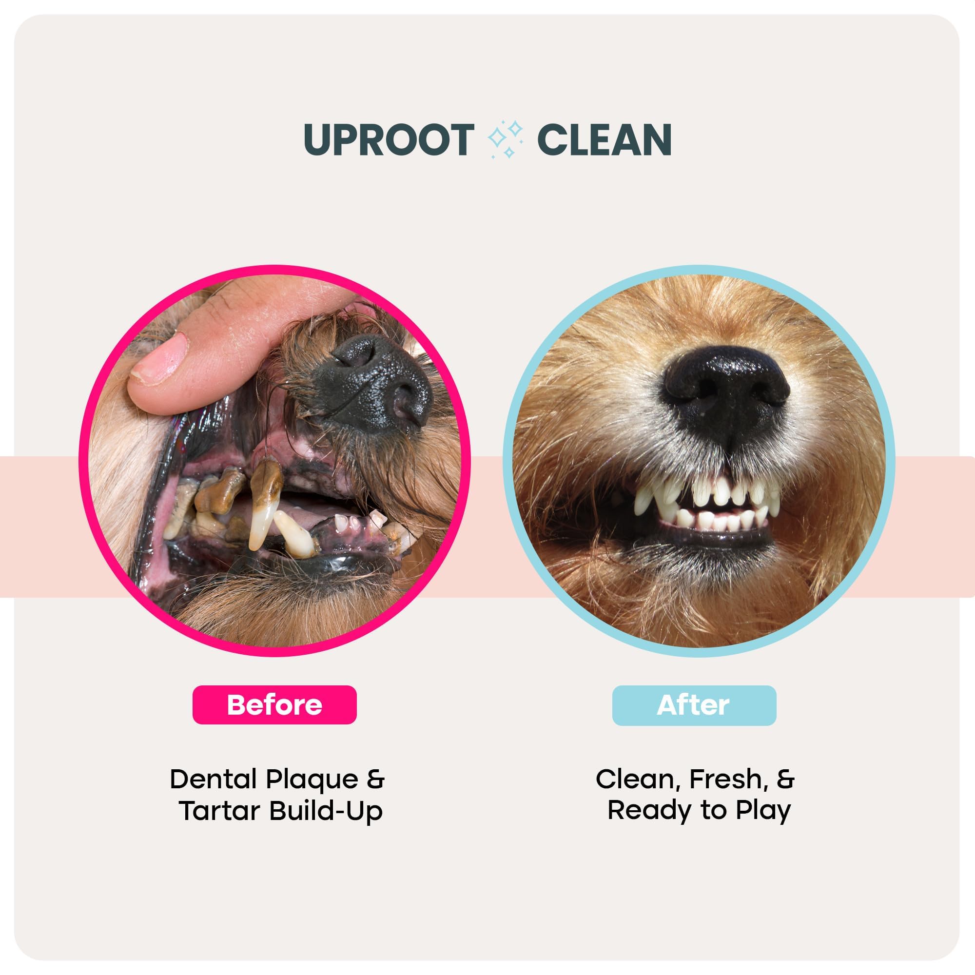 Uproot Clean alcohol-free paraben-free wipes gentle on gums