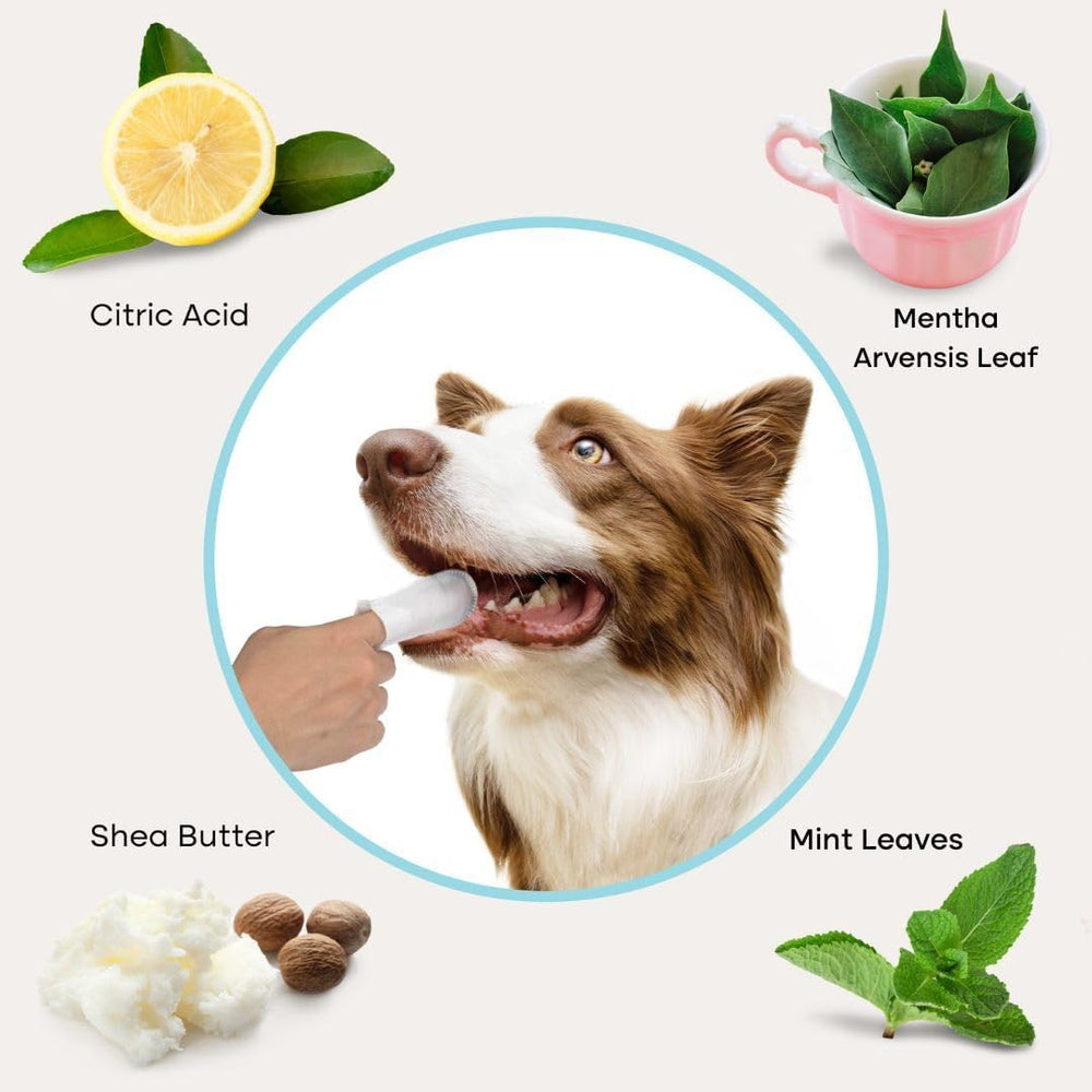 Uproot Clean dog and cat wipes protect gum health during daily use