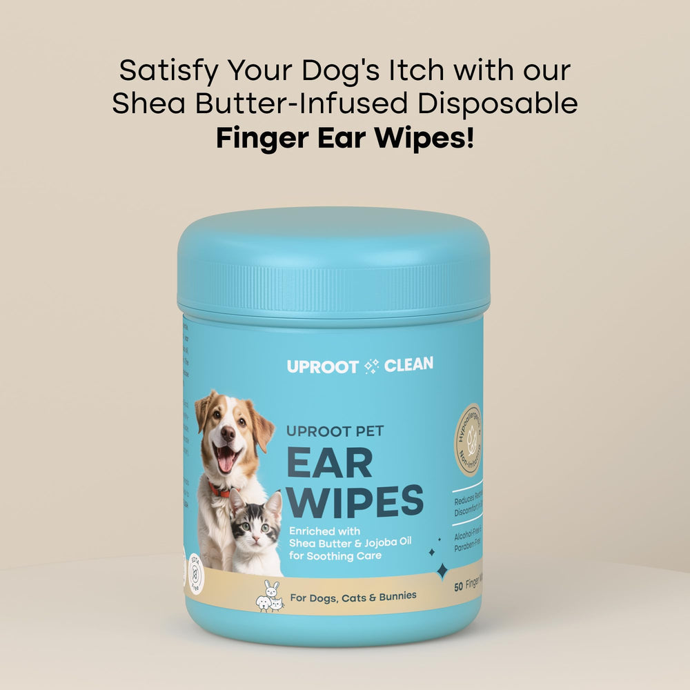 Uproot Clean ear wipes with shea butter and jojoba oil nourish surrounding skin.
