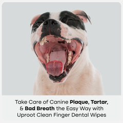 Uproot Clean no-rinse wipes safe if licked for gentle dental care