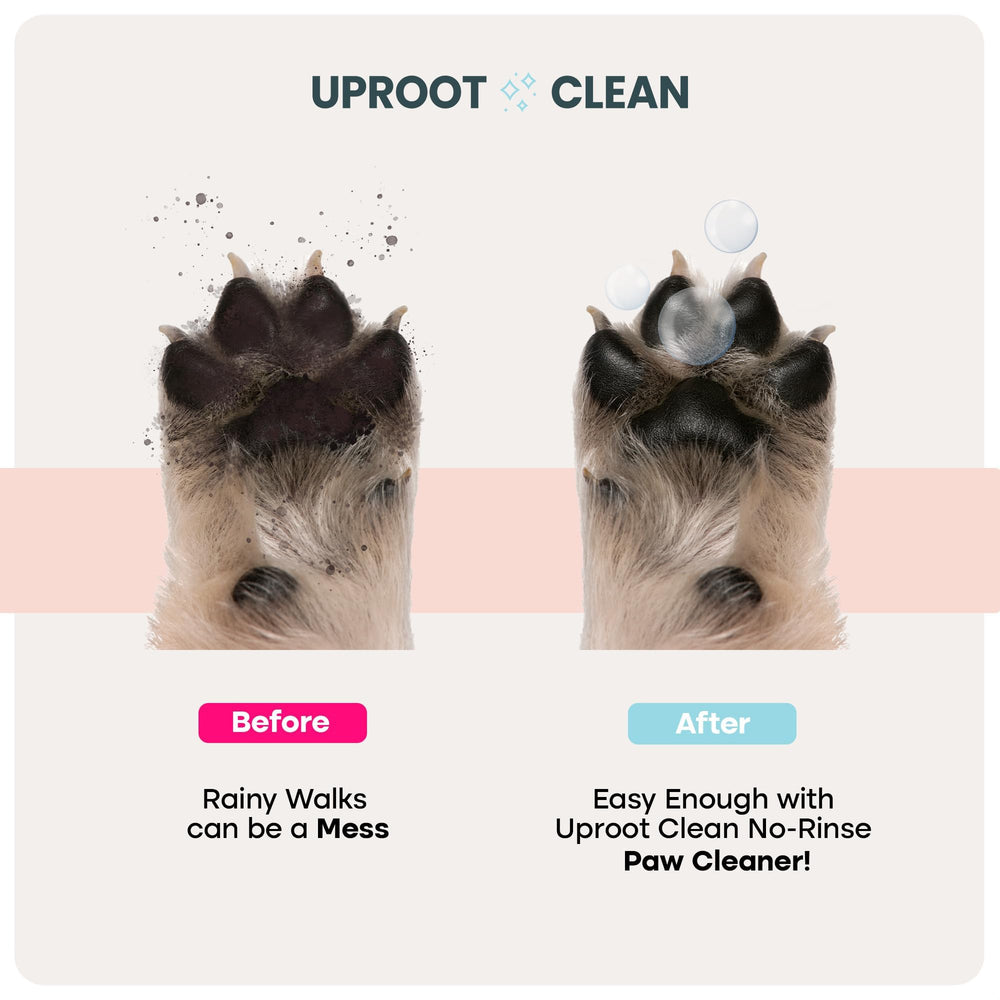 Uproot Clean compact design for home, car, or backpack use.