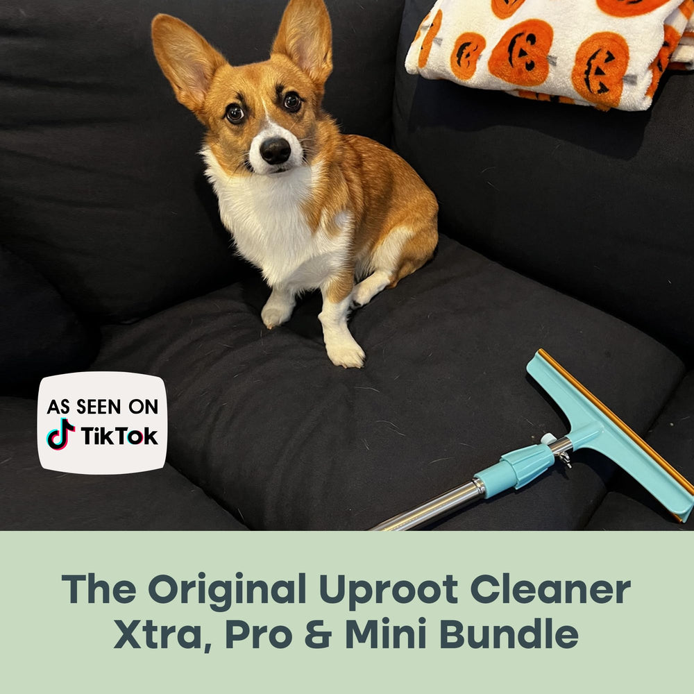 Uproot Pro on a rug showing quick debris pickup.