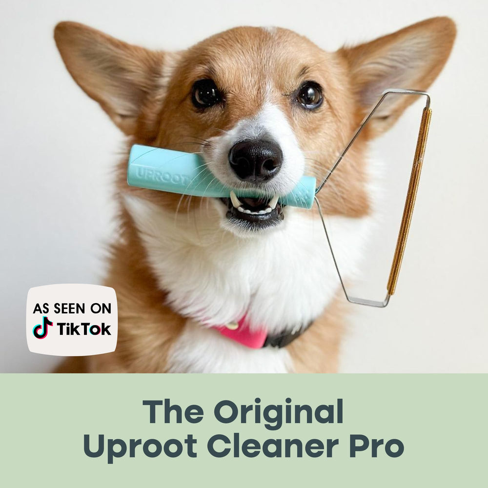 Uproot Clean Pro pet towers and trunks are easy to refresh.