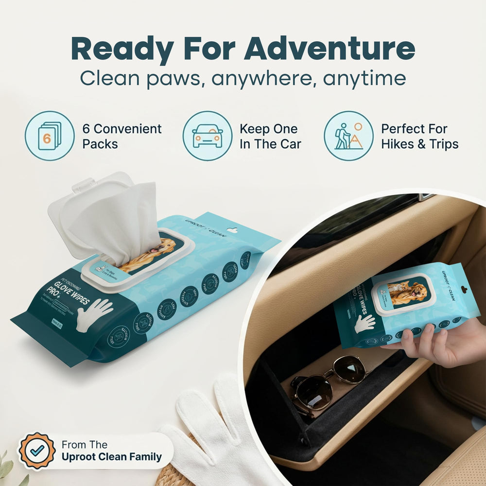 Uproot Clean QuickClean Gloves Pro travel-friendly six-pack for on-the-go grooming.