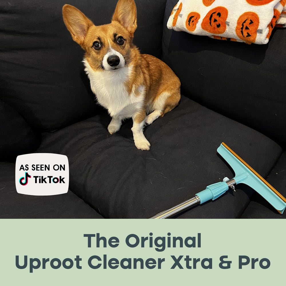 Uproot Clean reusable tools save money and waste with no batteries.
