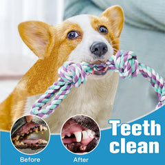 UPSKY tug-war rope toy shown for interactive bonding and games