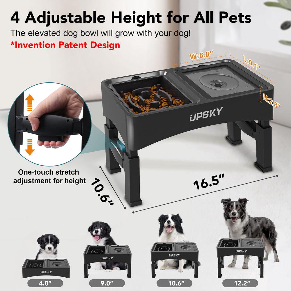 UPSKY four-height adjustable stand demonstrates height options for different sizes.
