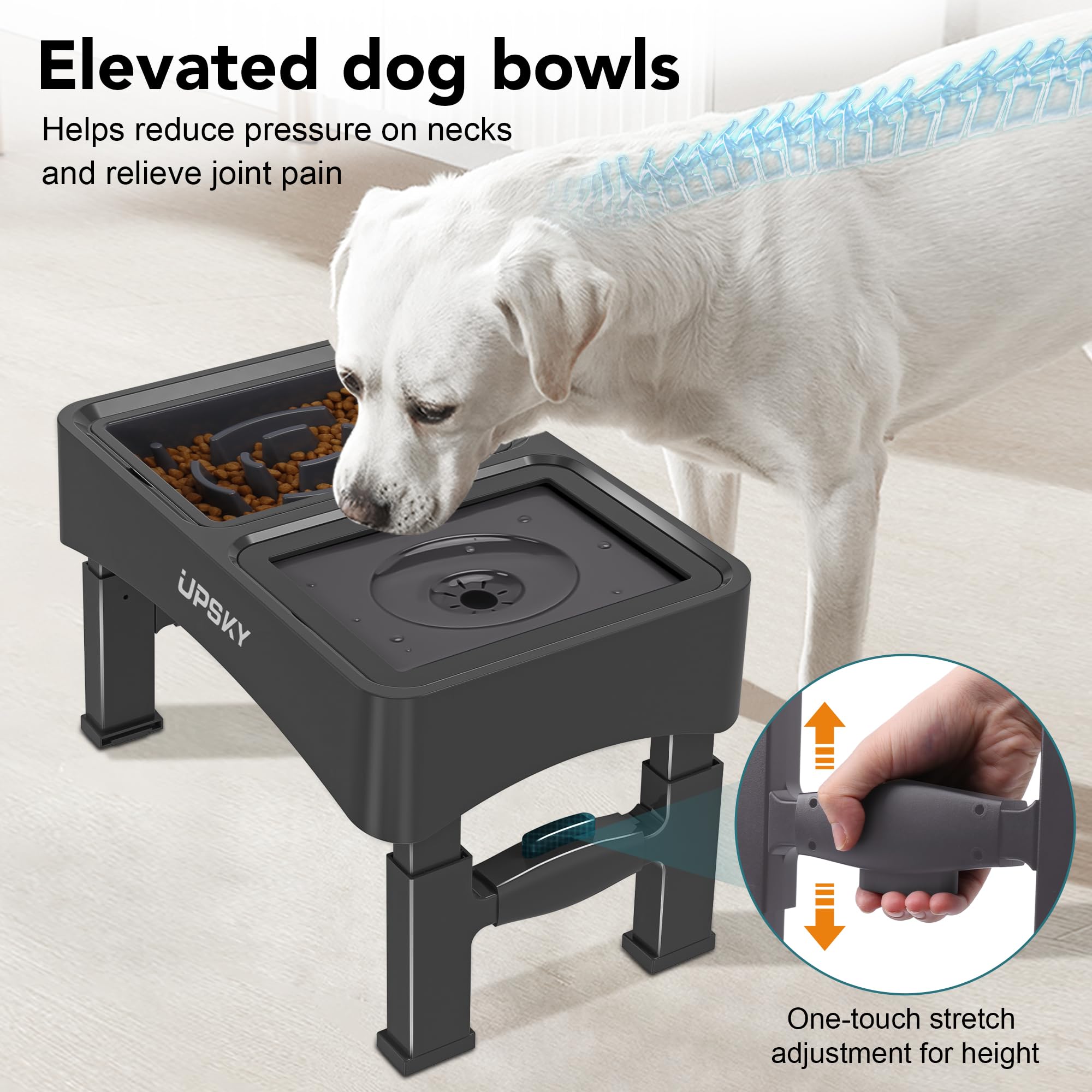 UPSKY easy-clean elevated dog bowls design for quick cleanup.