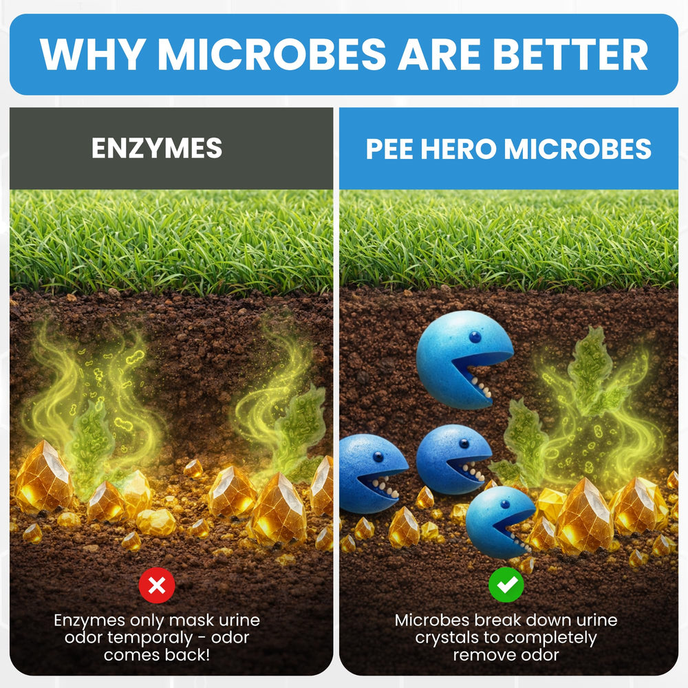 Cat urine cleaner action on outdoor surface with Pee Hero