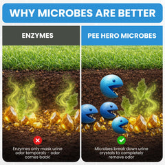 Cat urine cleaner action on outdoor surface with Pee Hero