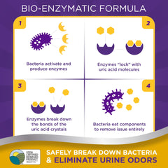 Urine Off bio-enzymatic formula label highlights enzyme-based stain care.
