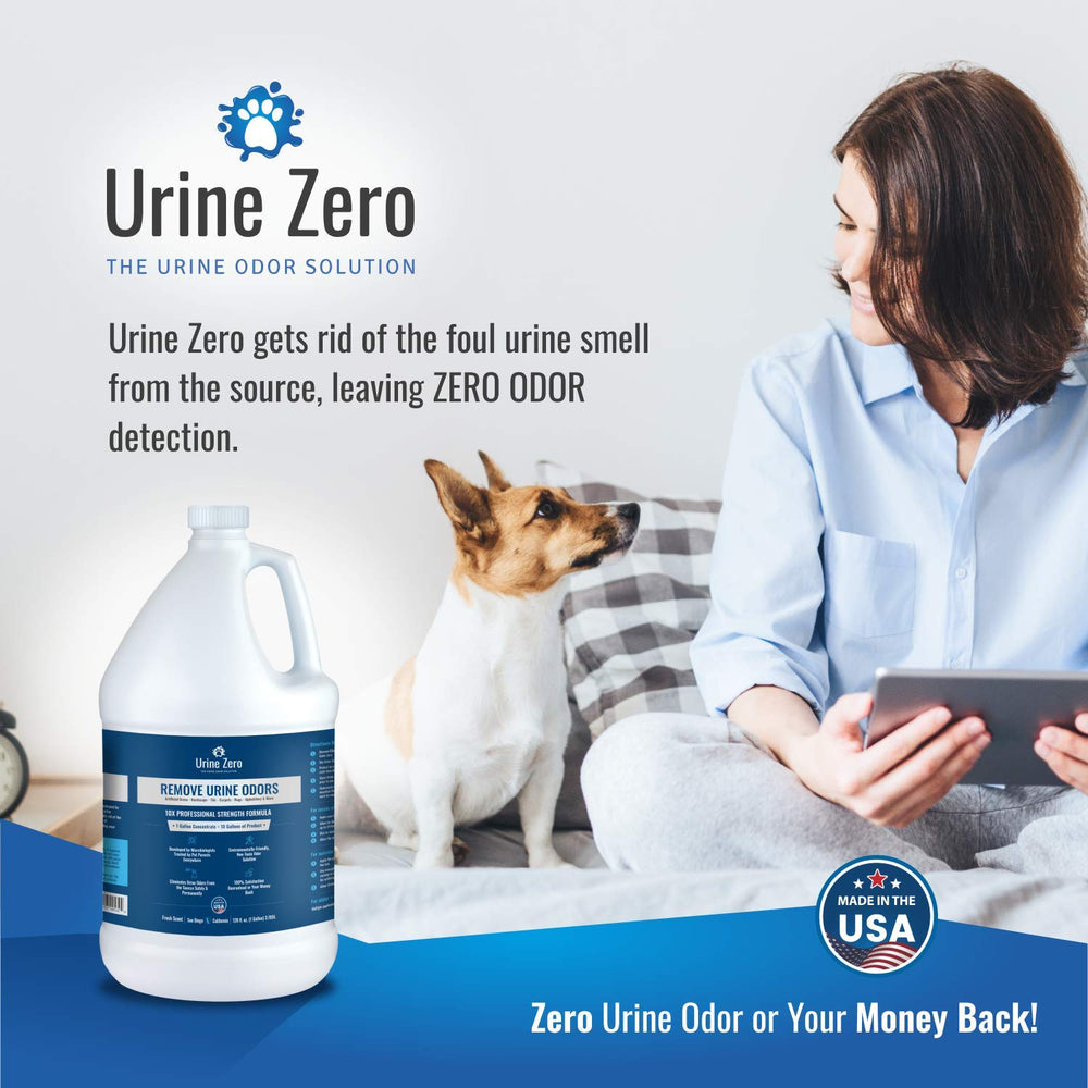 Urine Zero treating carpet and rugs to refresh spaces safely