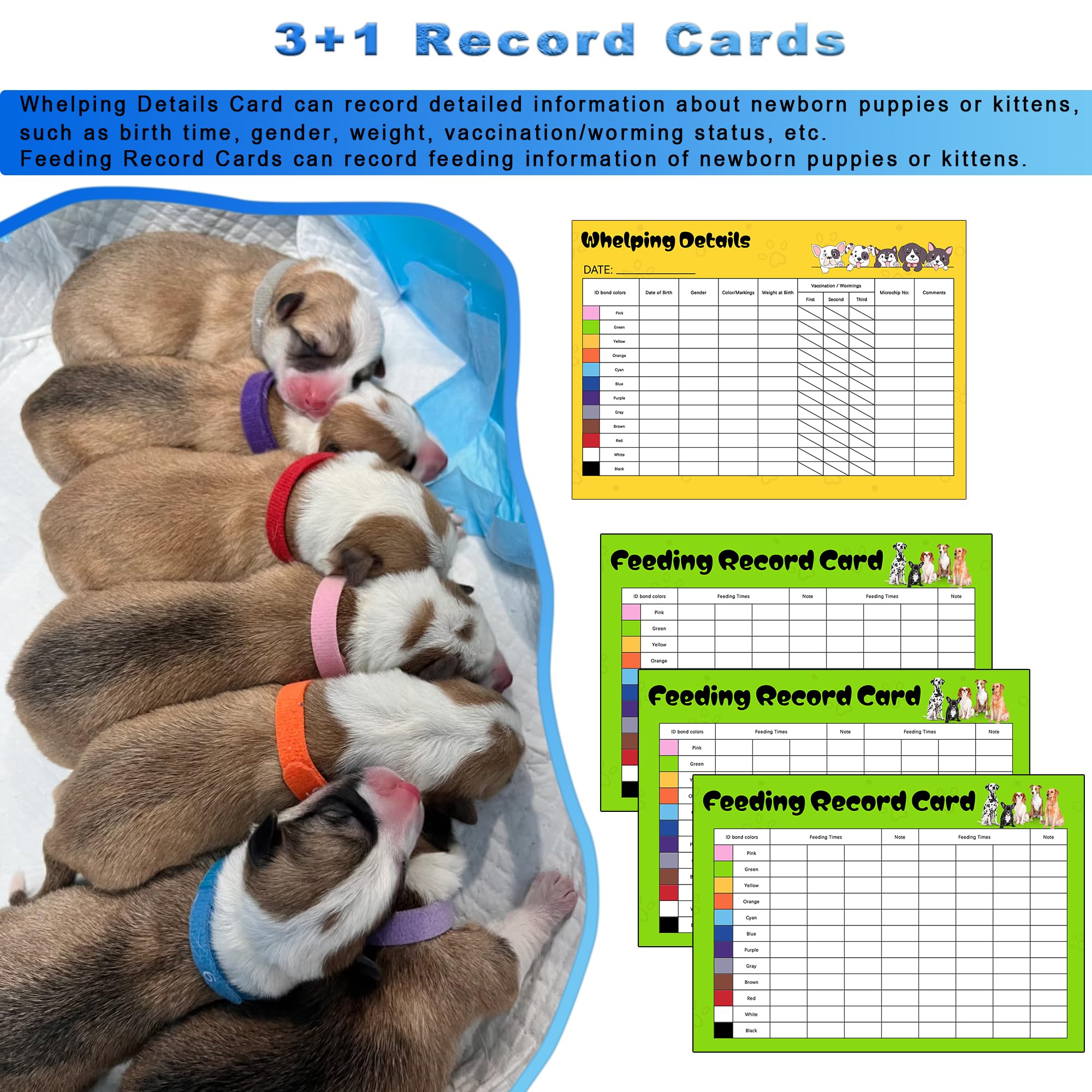 URMYONLY record charts track growth and milestones for each newborn