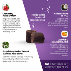 UroMAXX dog bottle label details showing ingredients and non-GMO claim.