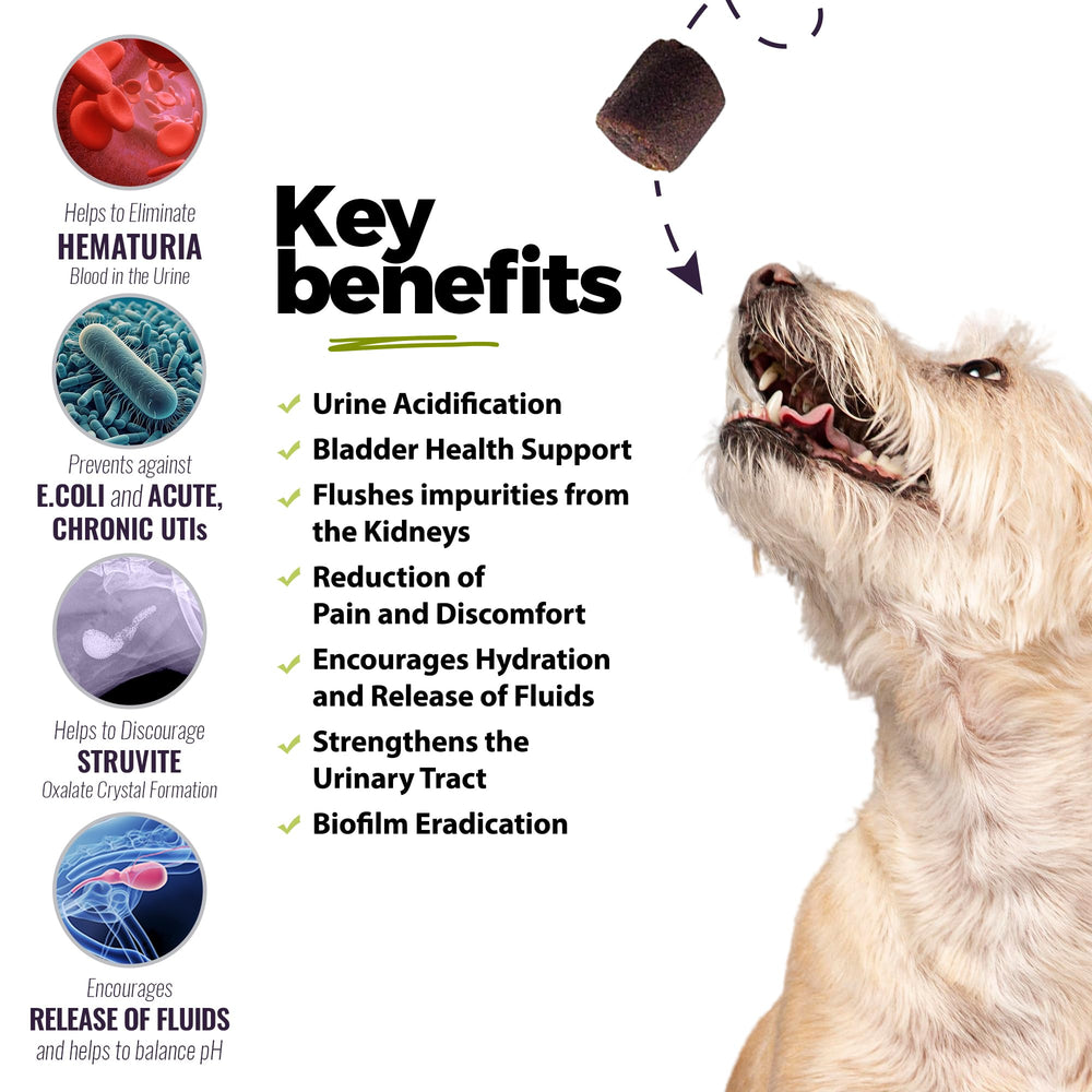 UroMAXX dog chews texture soft, easy to chew during daily care.