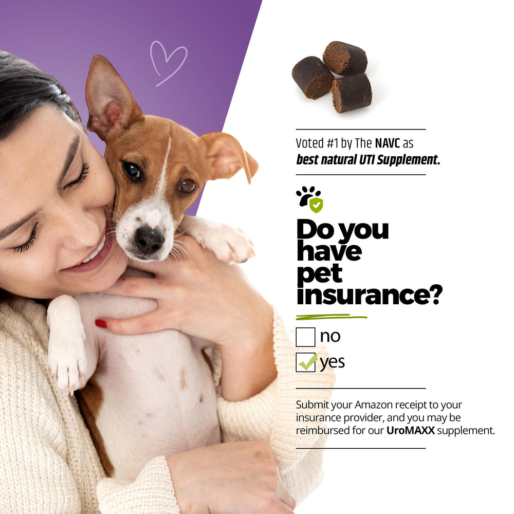 UroMAXX dog packaging front, premium USA-made product.