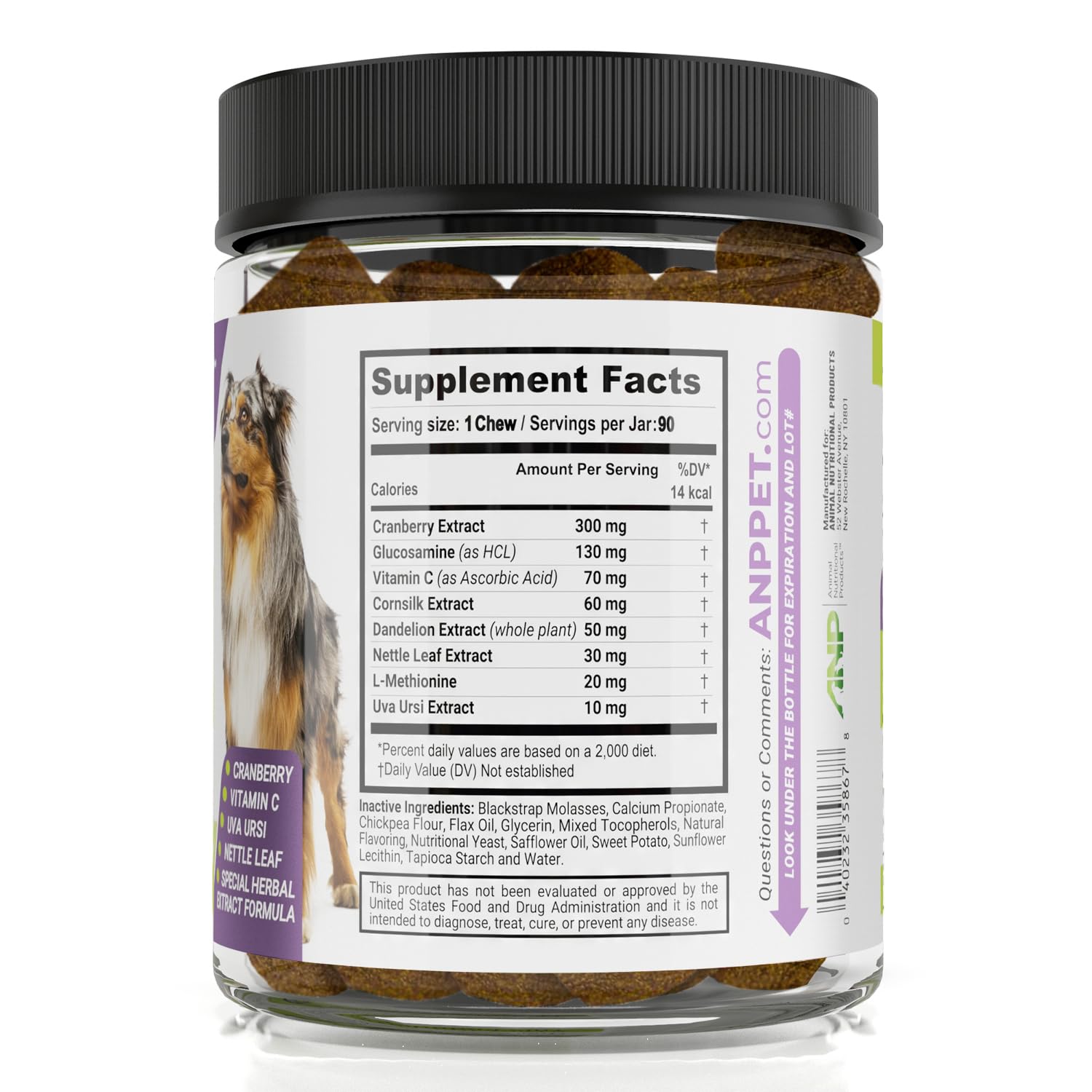 UroMAXX dog soft-chews serving, simple daily dose for comfort.