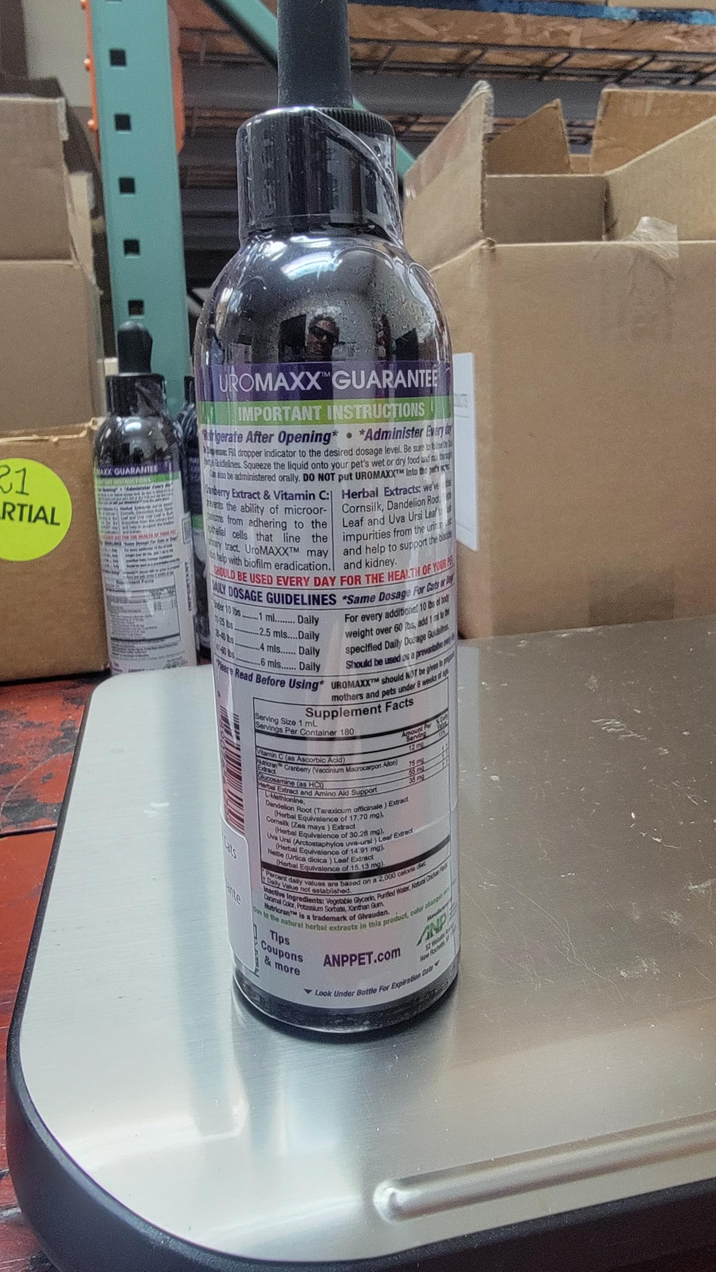 UroMAXX open bottle with chews ready to serve