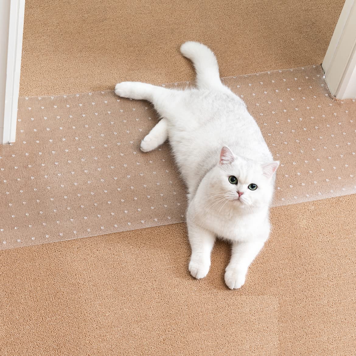 Uross carpet protector in doorway fits standard doors and shields carpets.