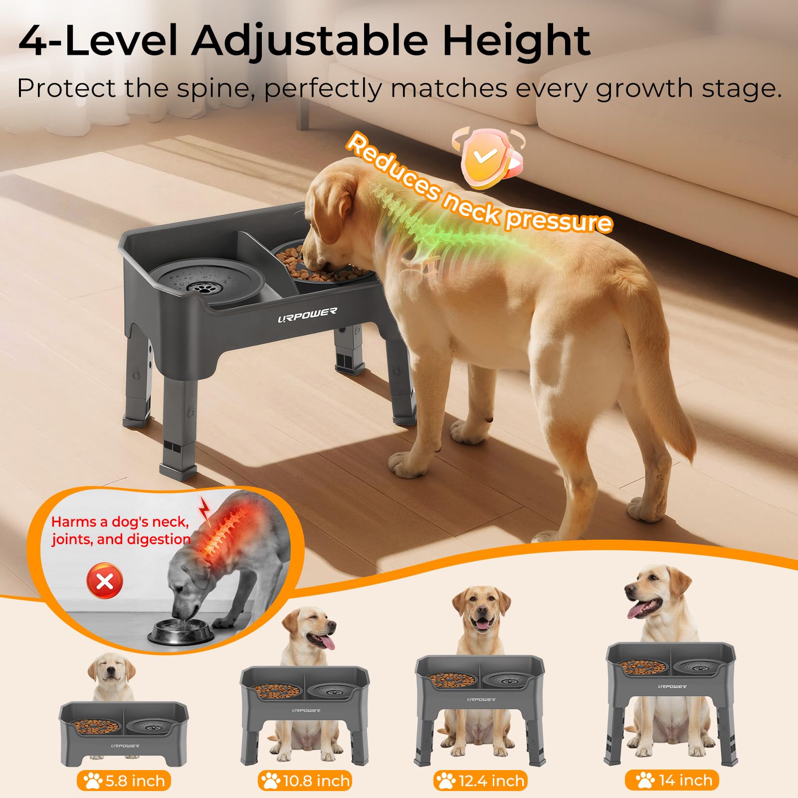 URPOWER four-height adjustable design adapts as your dog grows