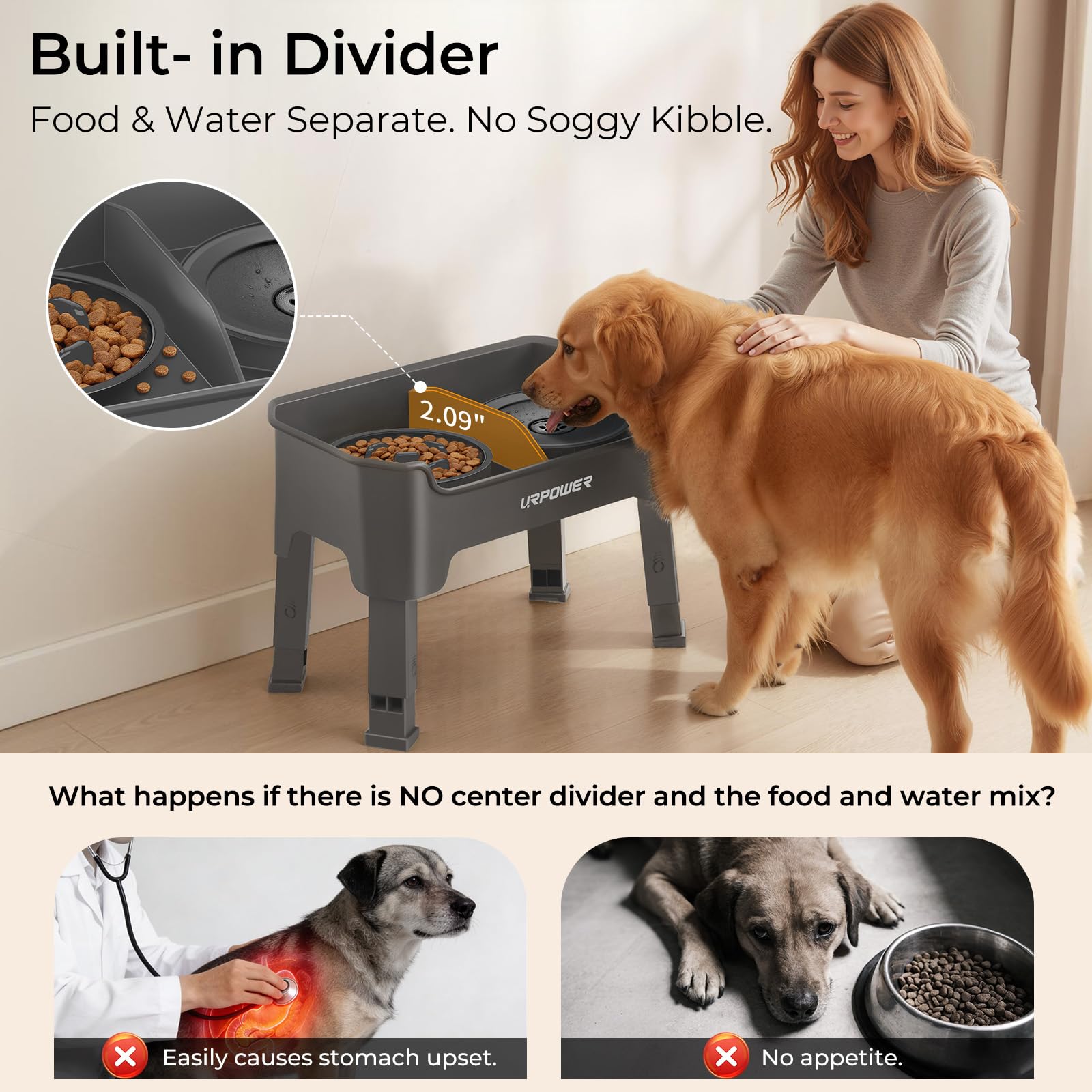 URPOWER center divider keeps kibble and water separate for drier meals