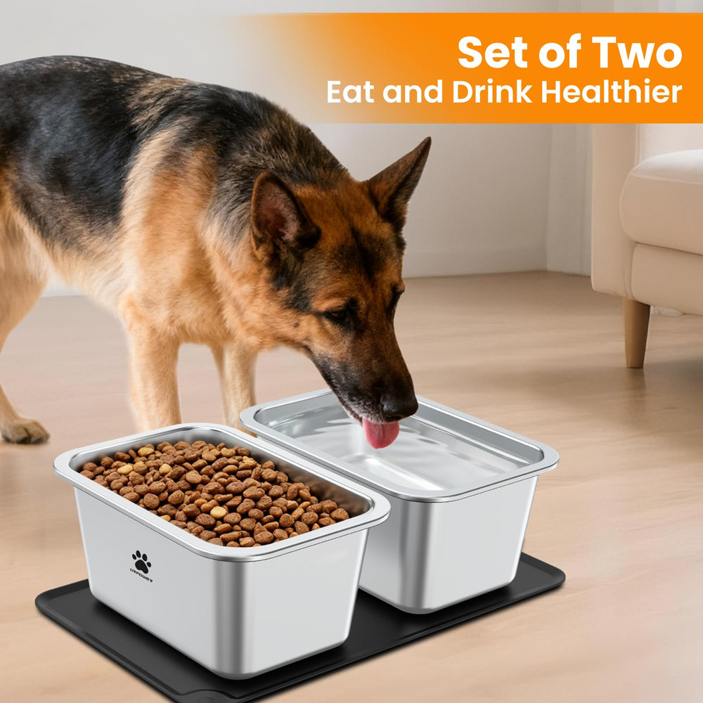 URPOWER dog enjoying water or meals from the sturdy bowls.