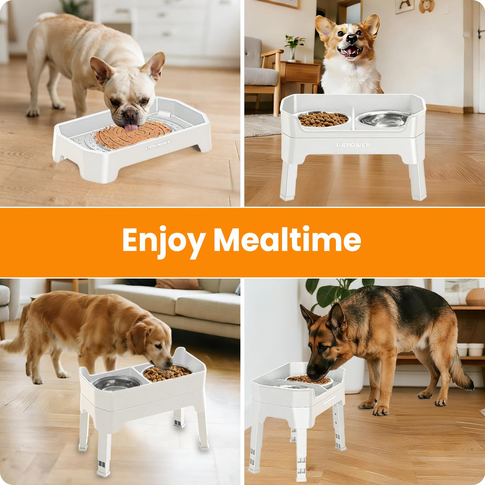 URPOWER raised dog bowl stand designed for easy cleaning and mess reduction