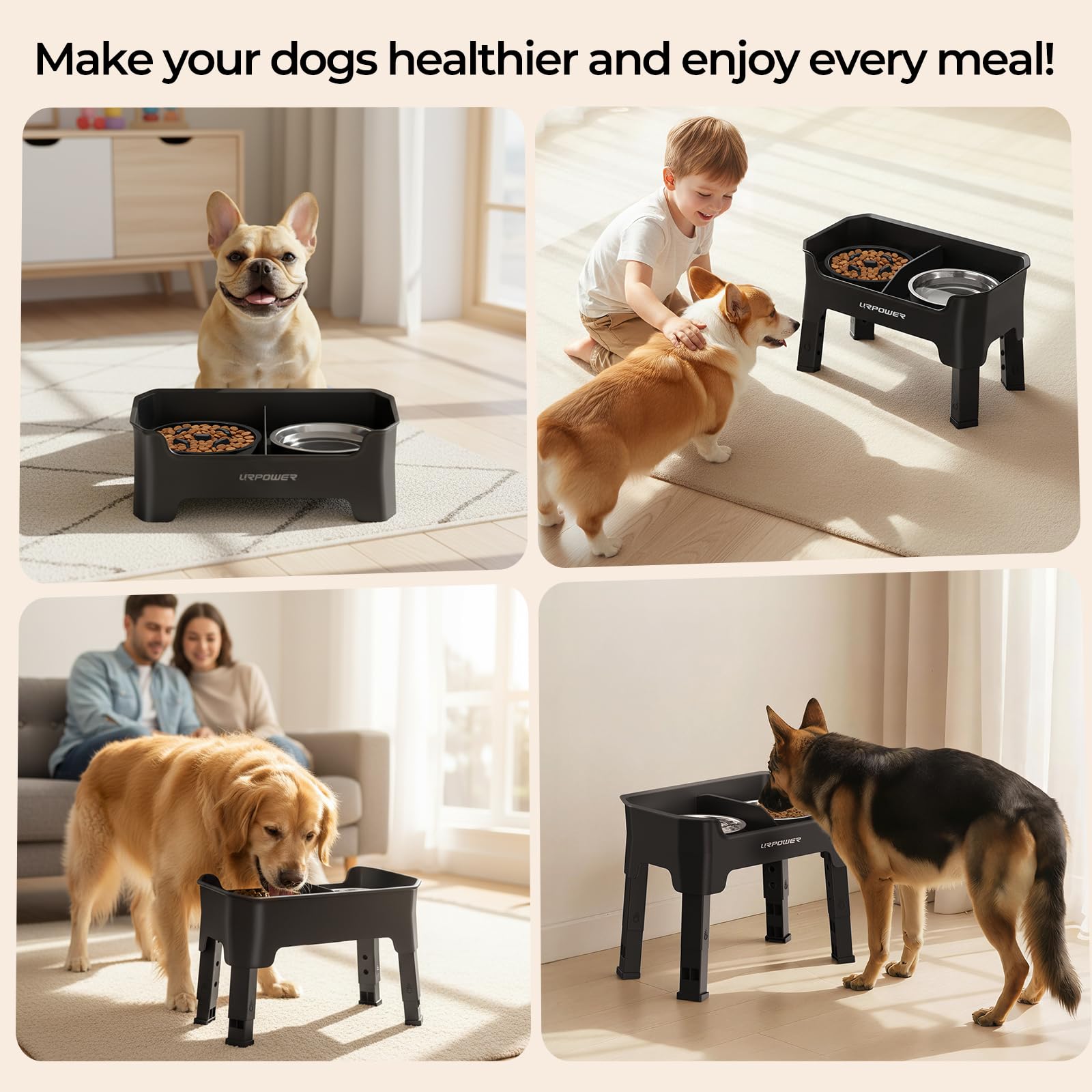 URPOWER elevated bowl set provides durable, easy-clean feeding solution.
