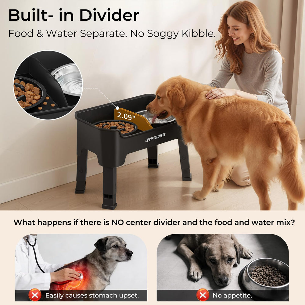 URPOWER center divider keeps kibble and water separate for tidy meals.