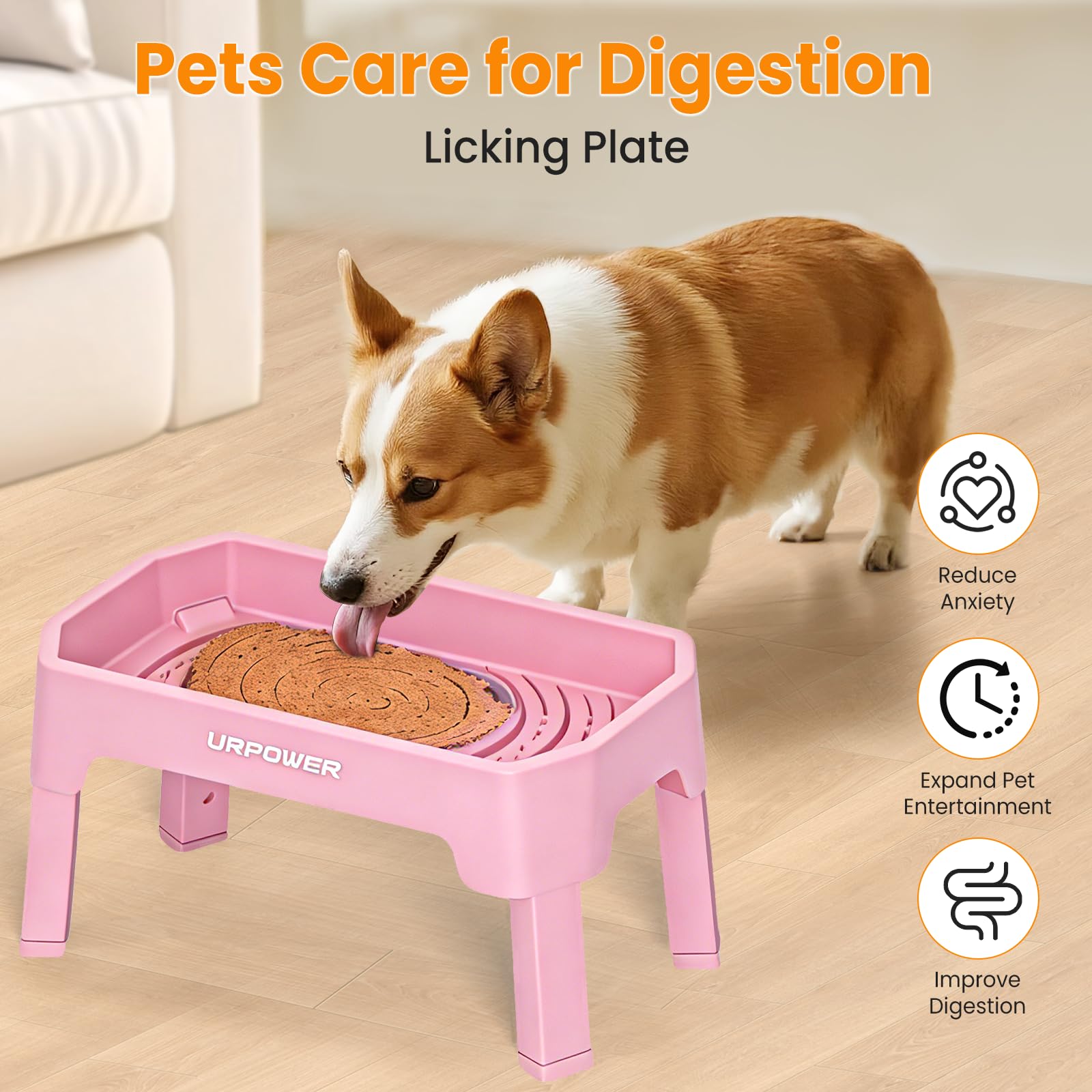 URPOWER four-height adjustable stand grows with your dog's needs.