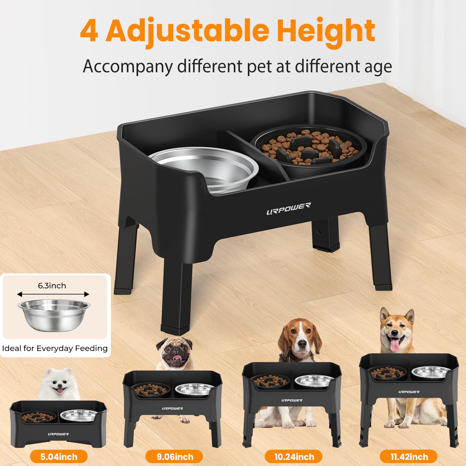 URPOWER height-adjustable stand showing four levels for growing dogs.