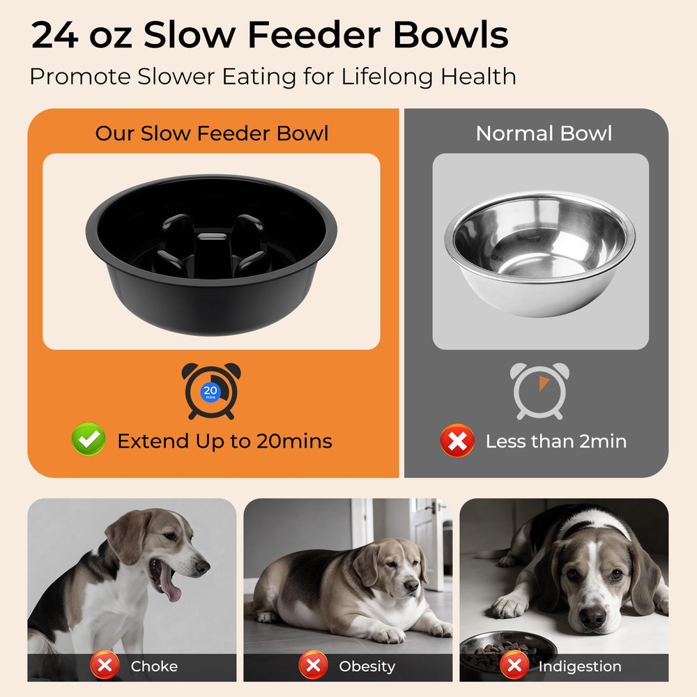 URPOWER raised edges prevent spills and keep feeding area clean.