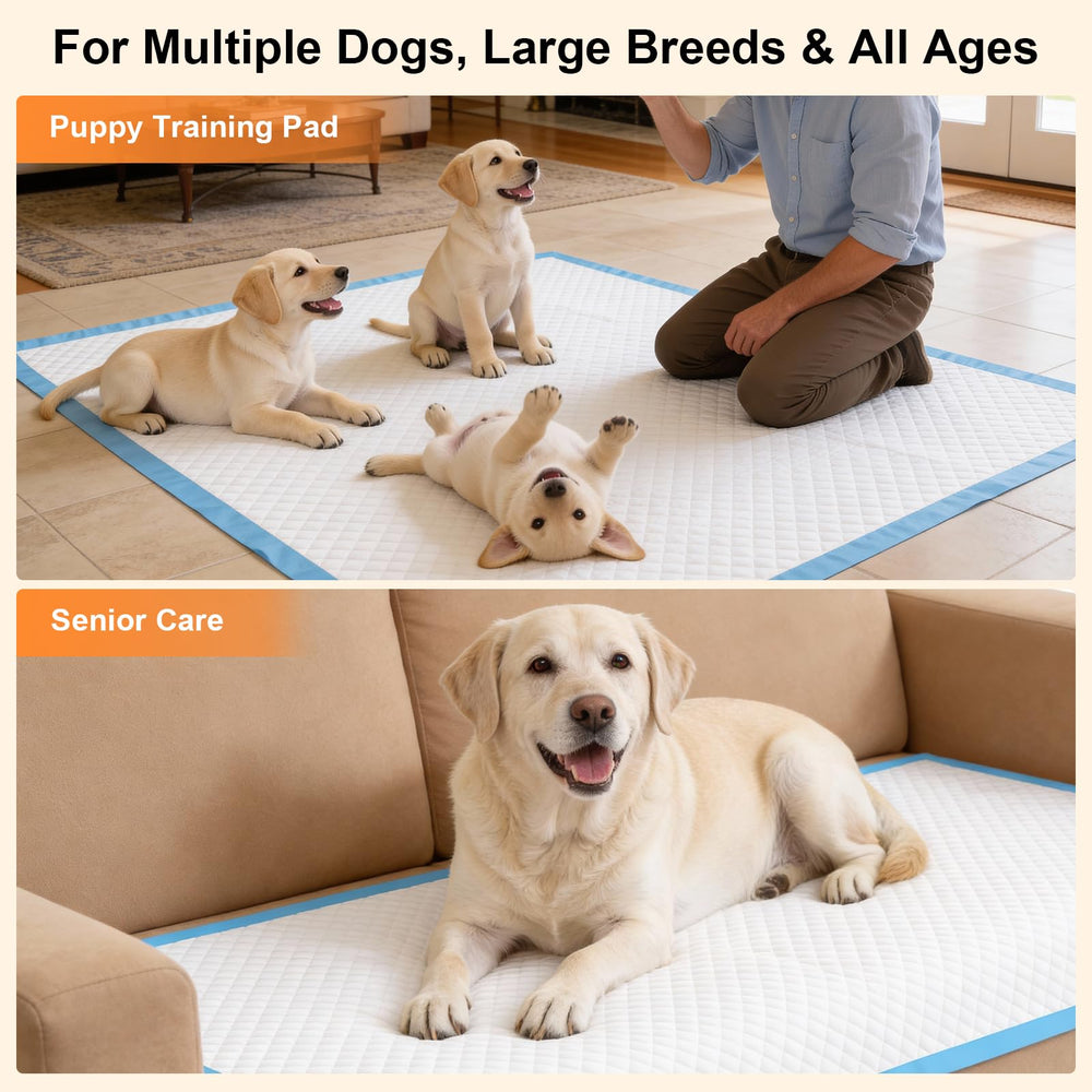 URPOWER suitable for puppies and senior dogs needing potty protection